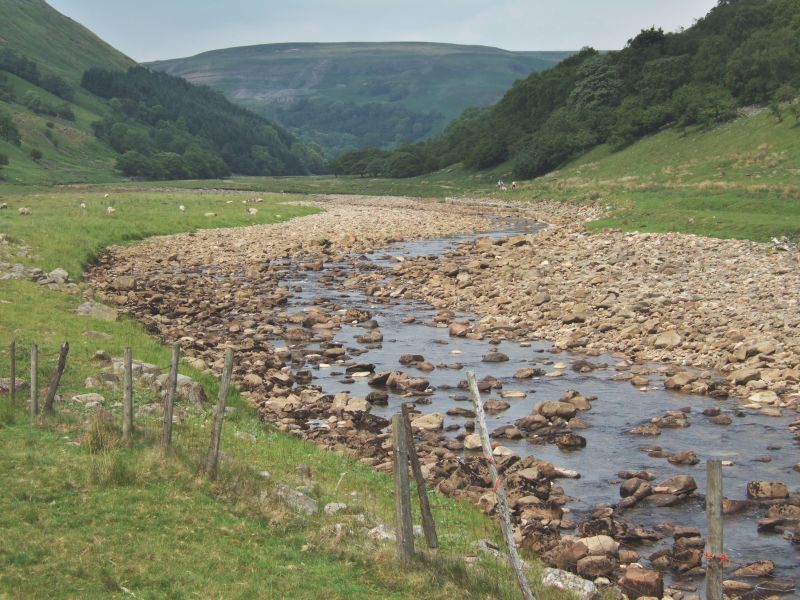 Local Swale Installation pros at work