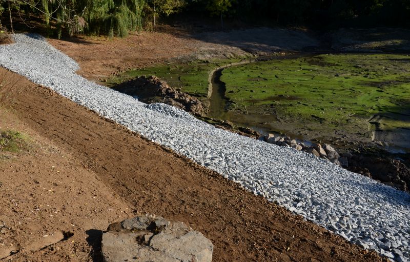 Completed Swale System